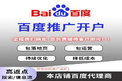 SEO与SEM融合策略：成功案例解析